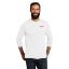 Picture of Allmade Unisex Tri-Blend Long Sleeve Tee